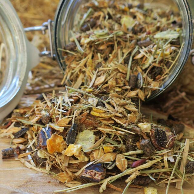 Black Type - Eohippos Sport Müsli für Pferde ohne Hafer