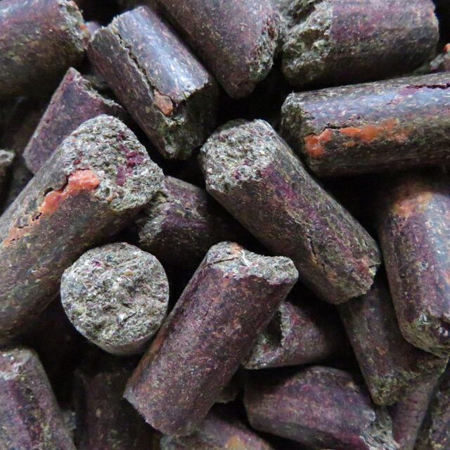 Leckerchen für Pferde getreidefrei, melassefrei - Leckerli