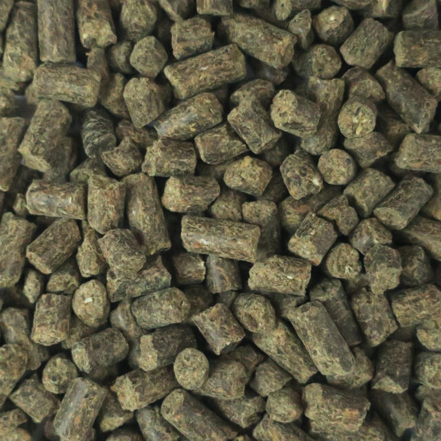 Getreidefreies Mineralfutter Pferde Eohippos Pferdefutter organisch