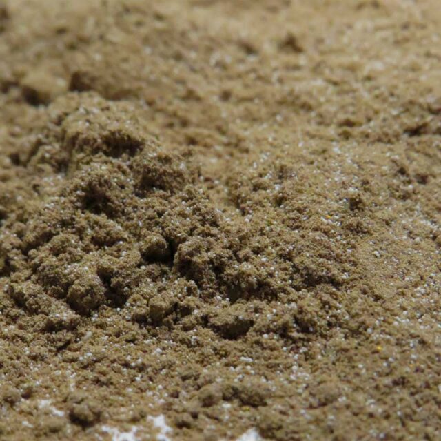 Flexible Move 2.0 - Sehnen, Gelenke und Bänder von Pferden unterstützen