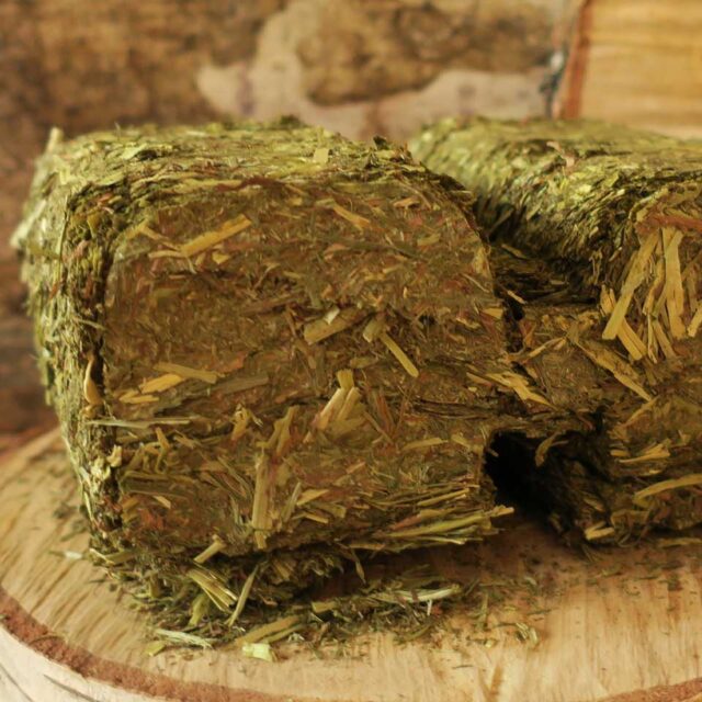 Hay to Go - Raufutter für Pferde kaufen - Eohippos Pferdefutter