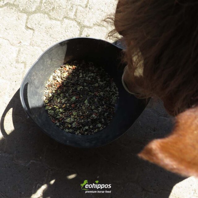 Flexibag für Pferdefutter, flexible Futterschale Trog