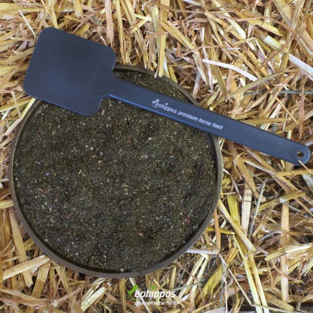 Mash Löffel für Pferde zum Zubereiten von Mash oder Heucobs