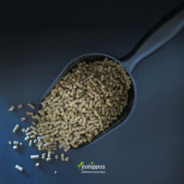 Showtime Muskelaufbau für Pferde ohne Zucker und Getreide mit Aminosäuren