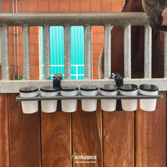 Dosen für Medikamente für dein Pferd, Begestigung an der Box, Wochenplaner