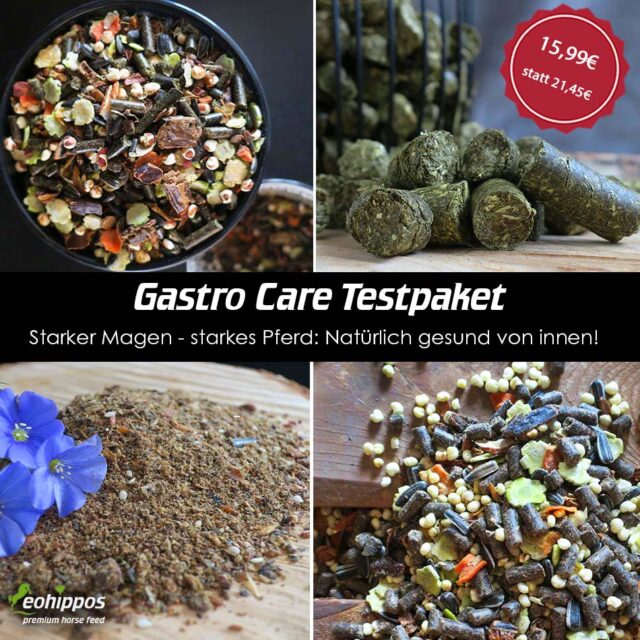 Gastro Care Testpaket für dein Pferd mit Magenproblemen