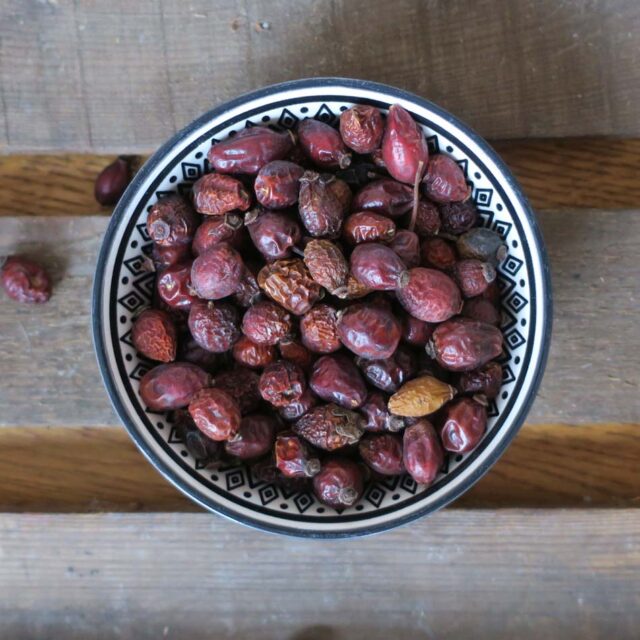 Toppings Hagebutten für Pferde ganz Ergänzungsfutter für Pferde